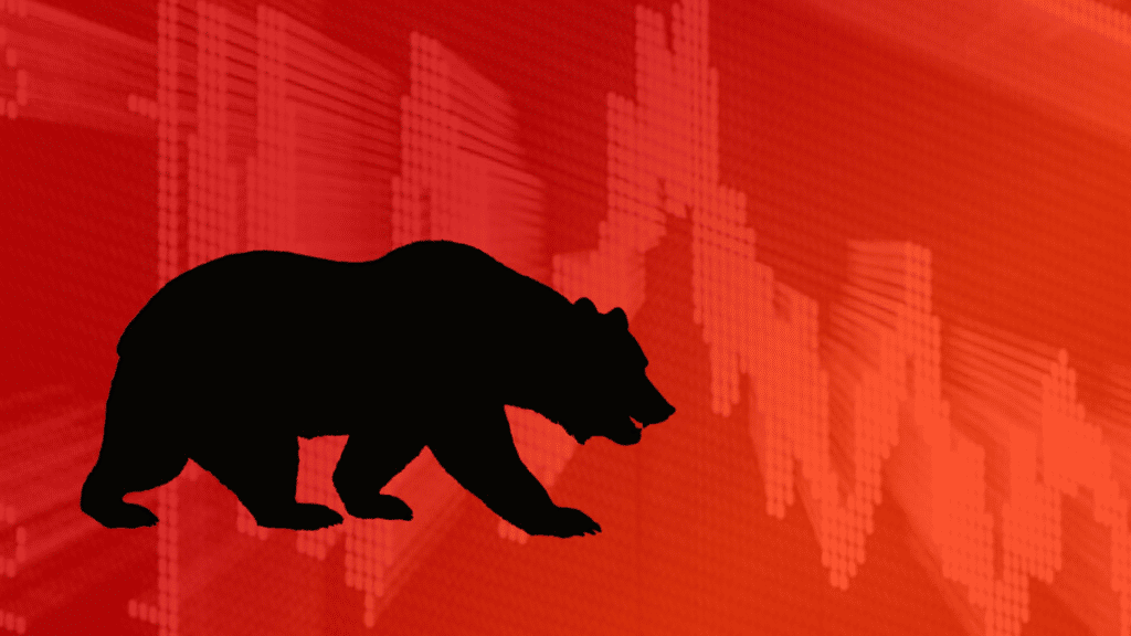 8 Tips to Survive in a Bear Market