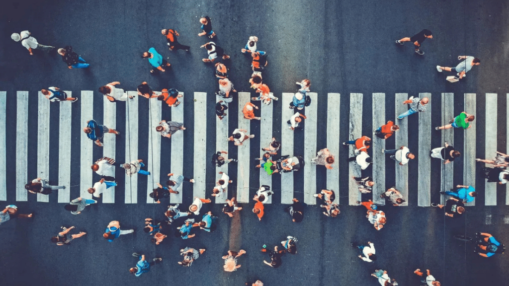 Building Public Trust Strategies for Accountable Government Financial Management