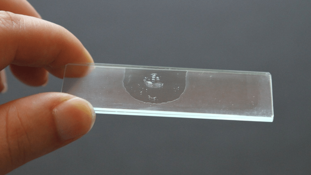 Microscope Slide Cabinets in Forensic Labs Why Organization Matters