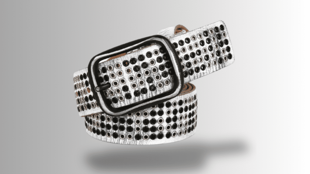 Retro Revival Why Now Is the Perfect Time to Buy Y2K BELTS?