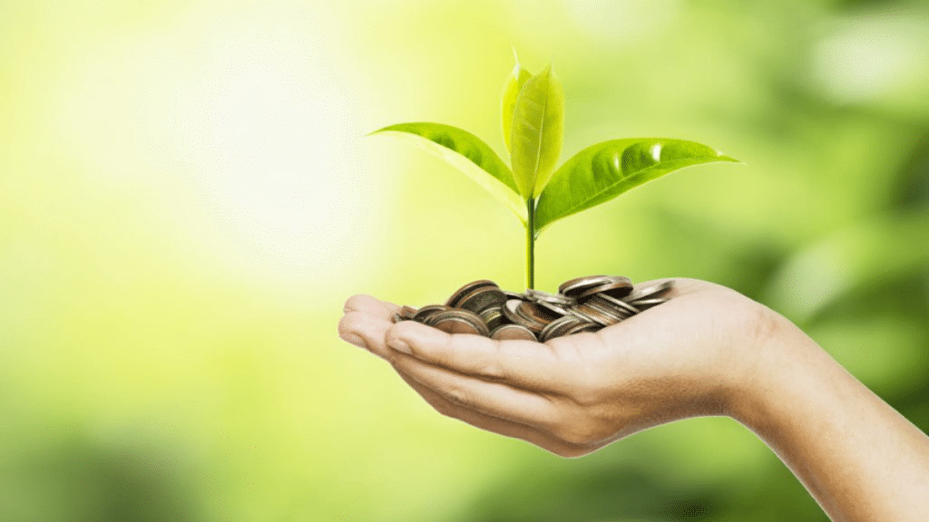 Top 7 Accounting Challenges Faced by Non Profit Organizations—and How to Solve Them