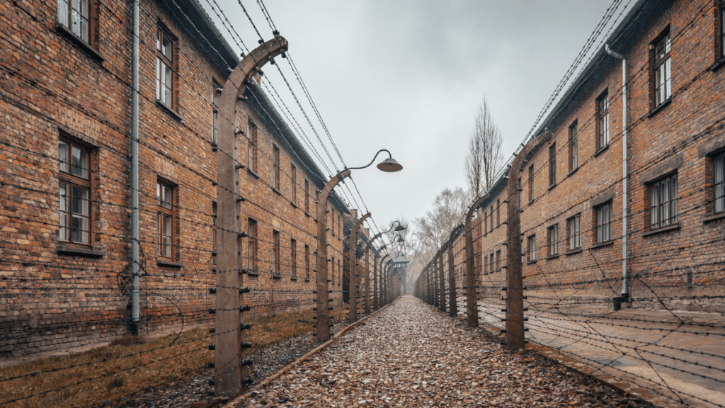 Visiting Auschwitz Today Between Memory and Tourism