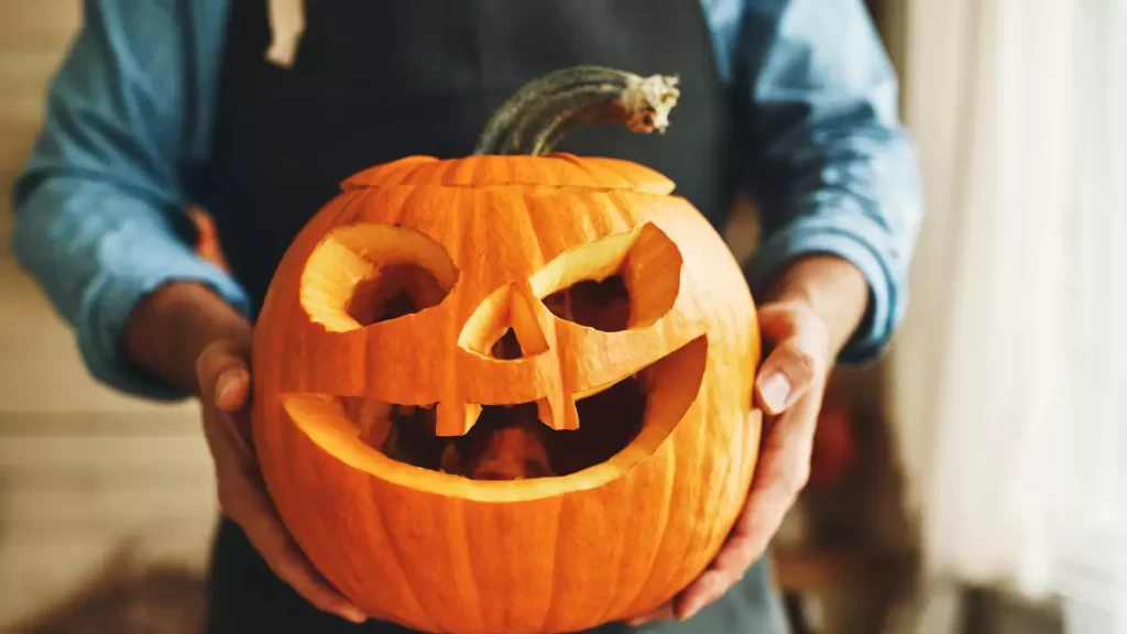 Dumb Ass Pumpkin: Exploring the Humor Behind Pumpkin Memes