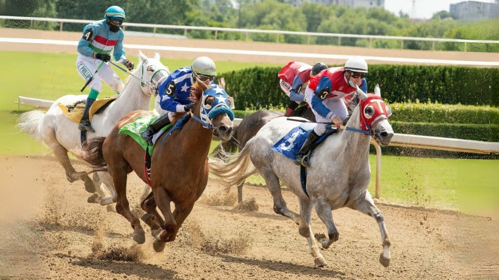 Can Previous Race Results Predict a Horse's Performance in Upcoming Tournaments?