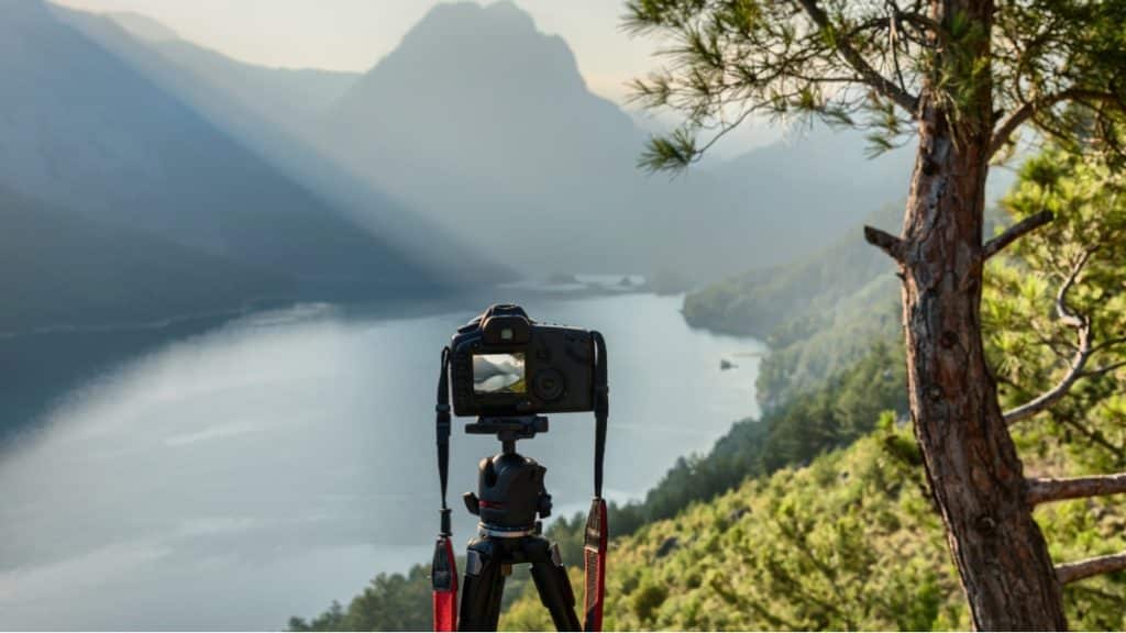 How Digital Asset Management Software Solves Common Photography Challenges