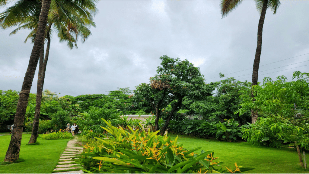 How Plant Medicine Retreats Can Support Your Holistic Health
