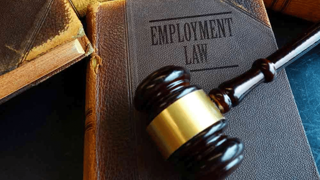 How an Employment Lawyer Can Help Protect Your Workplace Rights