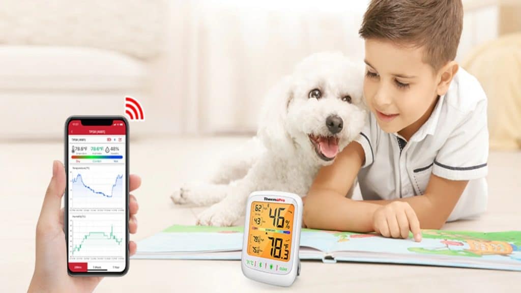 How to Keep Your Pets Comfortable with Indoor Temperature Monitoring