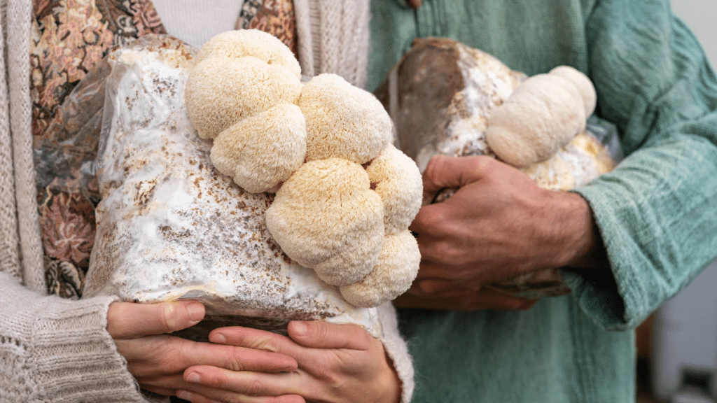 How to Successfully Grow Lion’s Mane Mushrooms with Local Spore Kits 