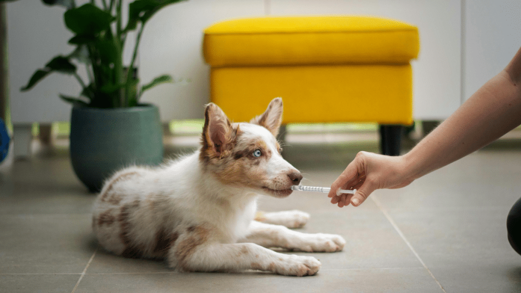 How to Vet a Legal Practice Before Reaching Out