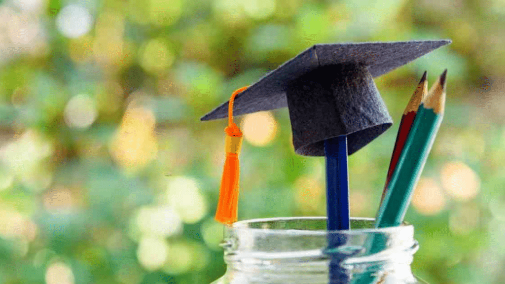 PDUSU Result Everything You Need to Know About Your Shekhawati University Scores