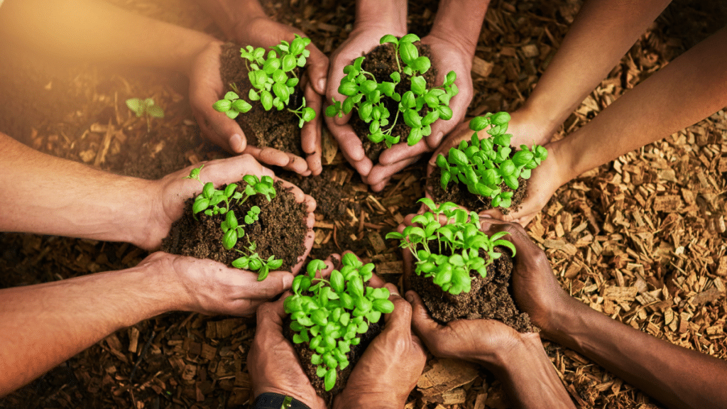Plant Biology For Better Health