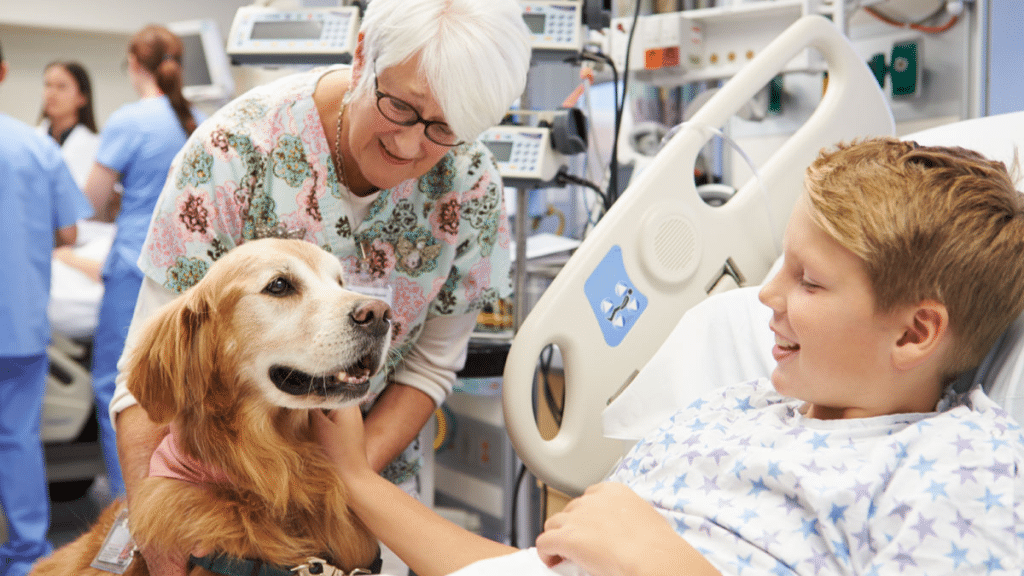 The Use of Therapy Animals in Medicine