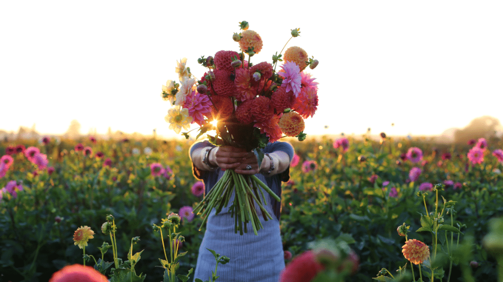 Thriving in Today’s Floristry Business Local Flower Shops, Cut Flower Imports, and the Rise of Native Wildflowers