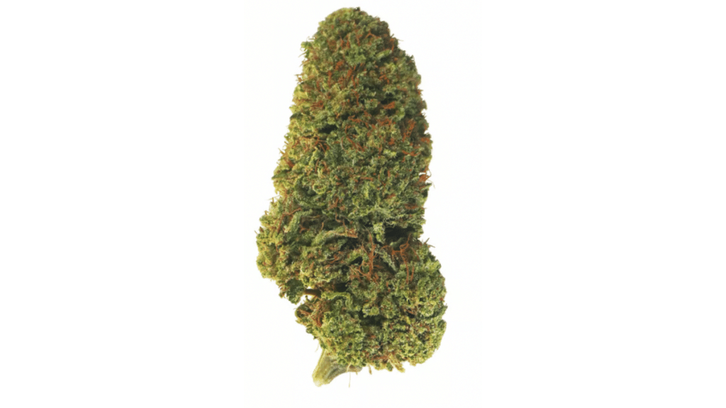Beyond the Buzz What is CBD Flower?