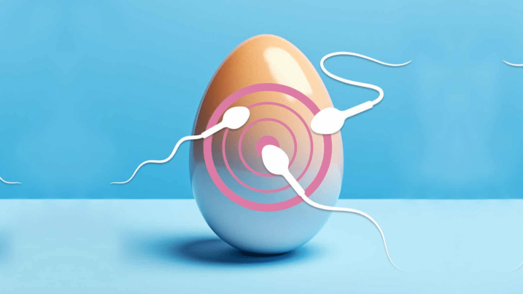 Top Reasons a Woman’s Egg Quality Drops Before Age 35