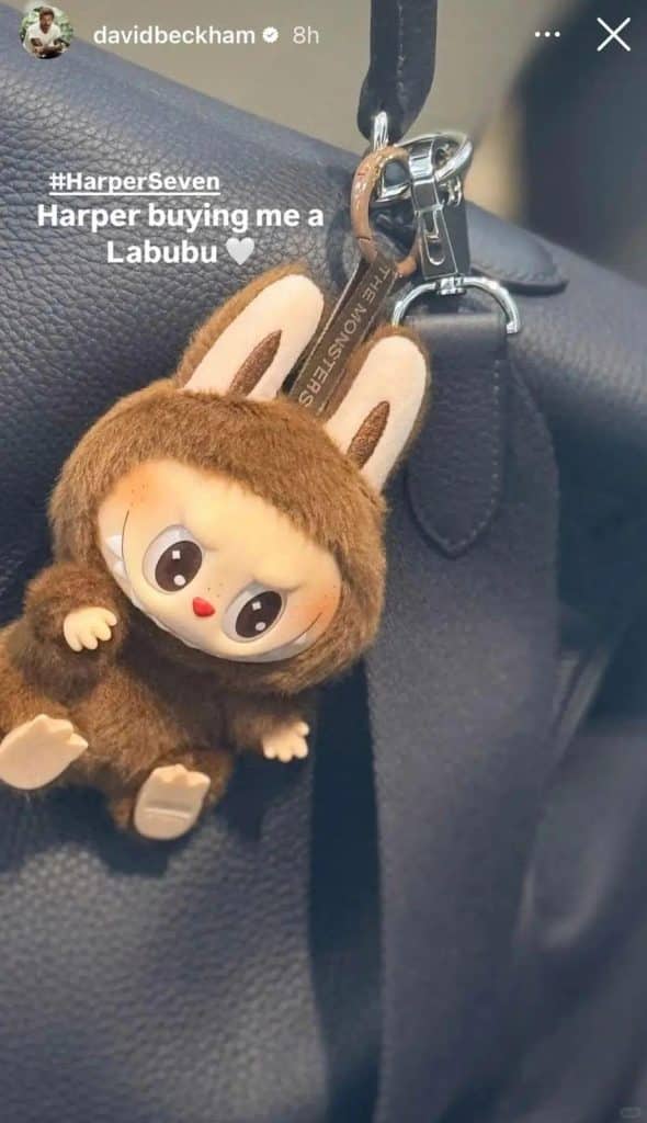 Image 1 of What Are Labubu Clothes?
