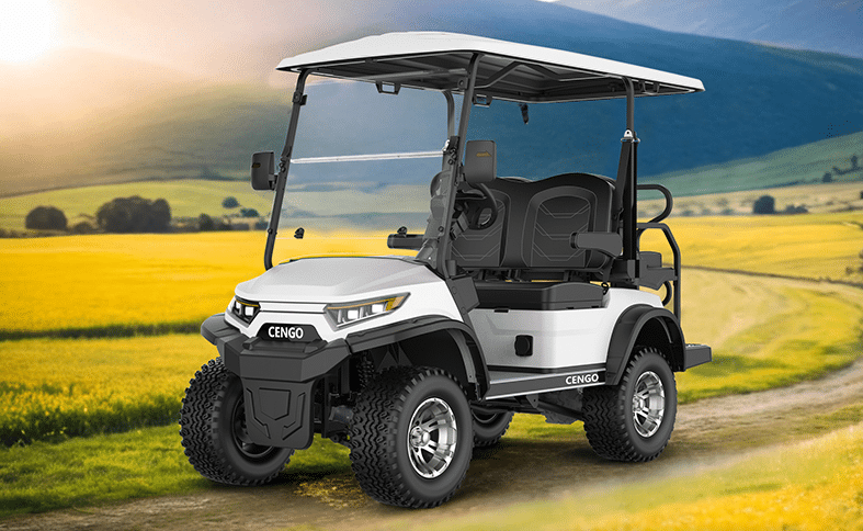 Image 1 of What is the Best Electric Golf Cart to Buy? A Comprehensive Guide
