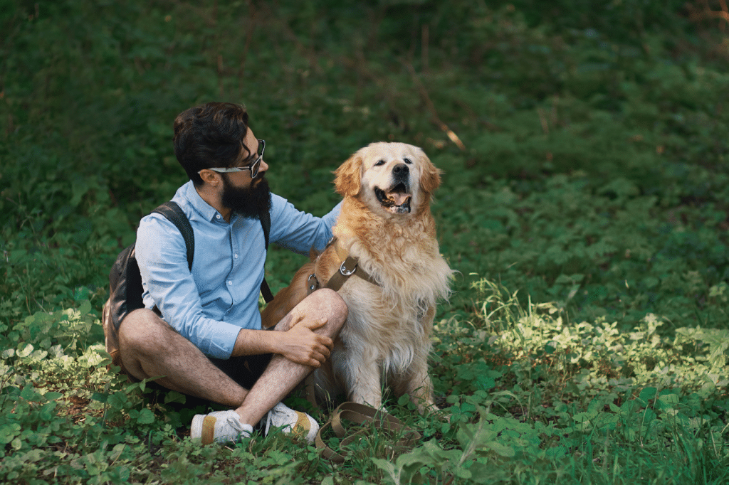Image 1 of 5 Benefits of Sticking to a Consistent Pet Care Routine