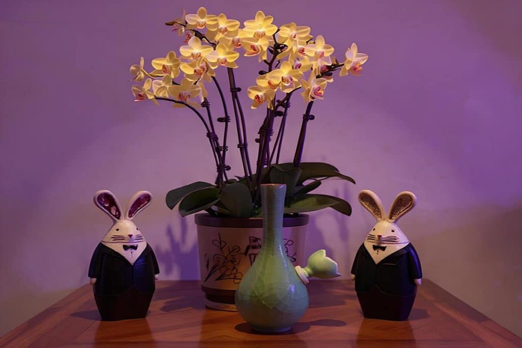 How to make a ceramic bong? Image 1 of How to make a ceramic bong?