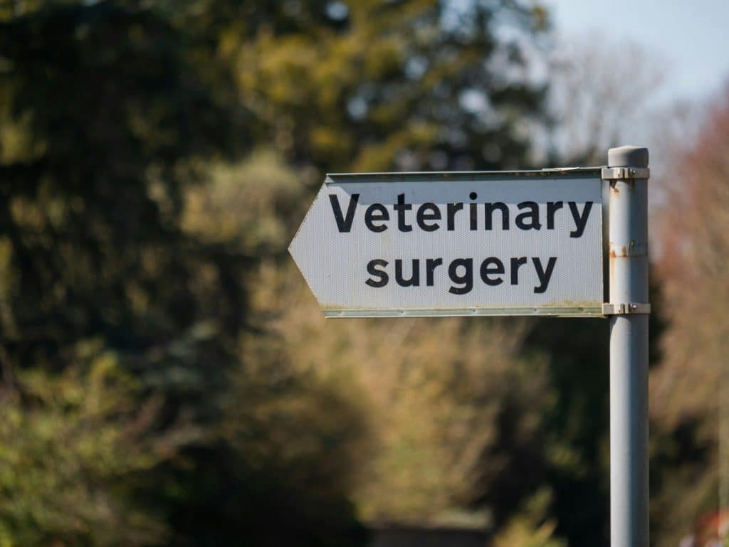 Image 1 of The Complete Veterinary Finance Guide: From Client Payment Solutions to Practice Valuation