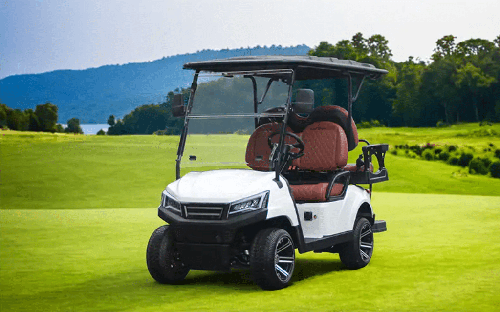 Image 1 of What is the Best Golf Cart Brand?