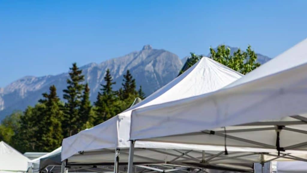 Image 1 of Prepared for Anything: Must-Have Features for Outdoor Canopies in Unpredictable Weather