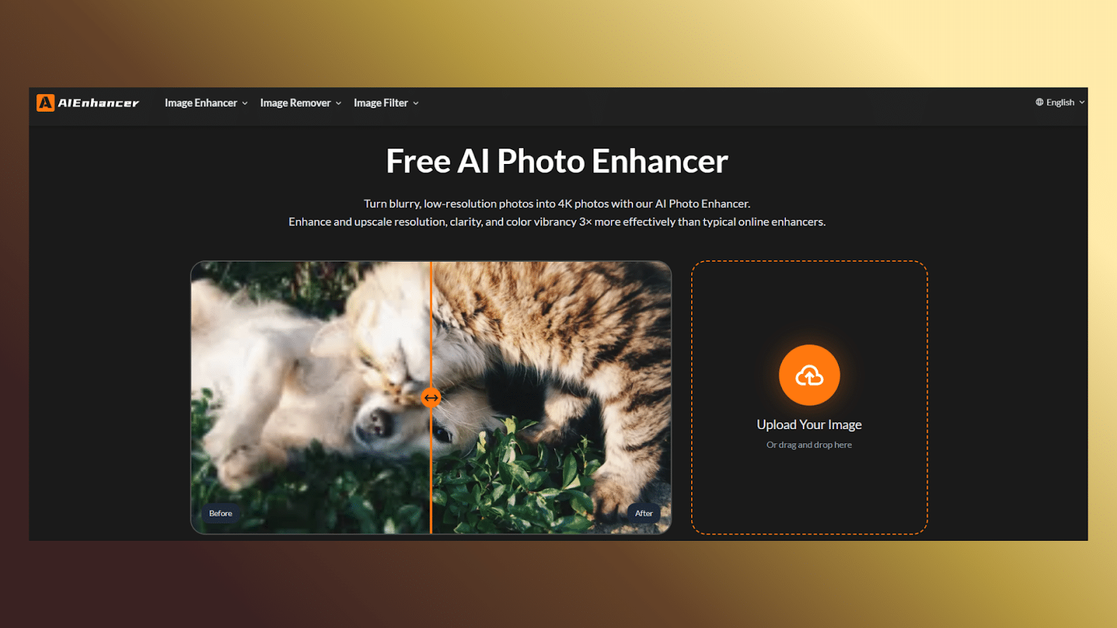 AIEnhancer remove watermark from video tool interface