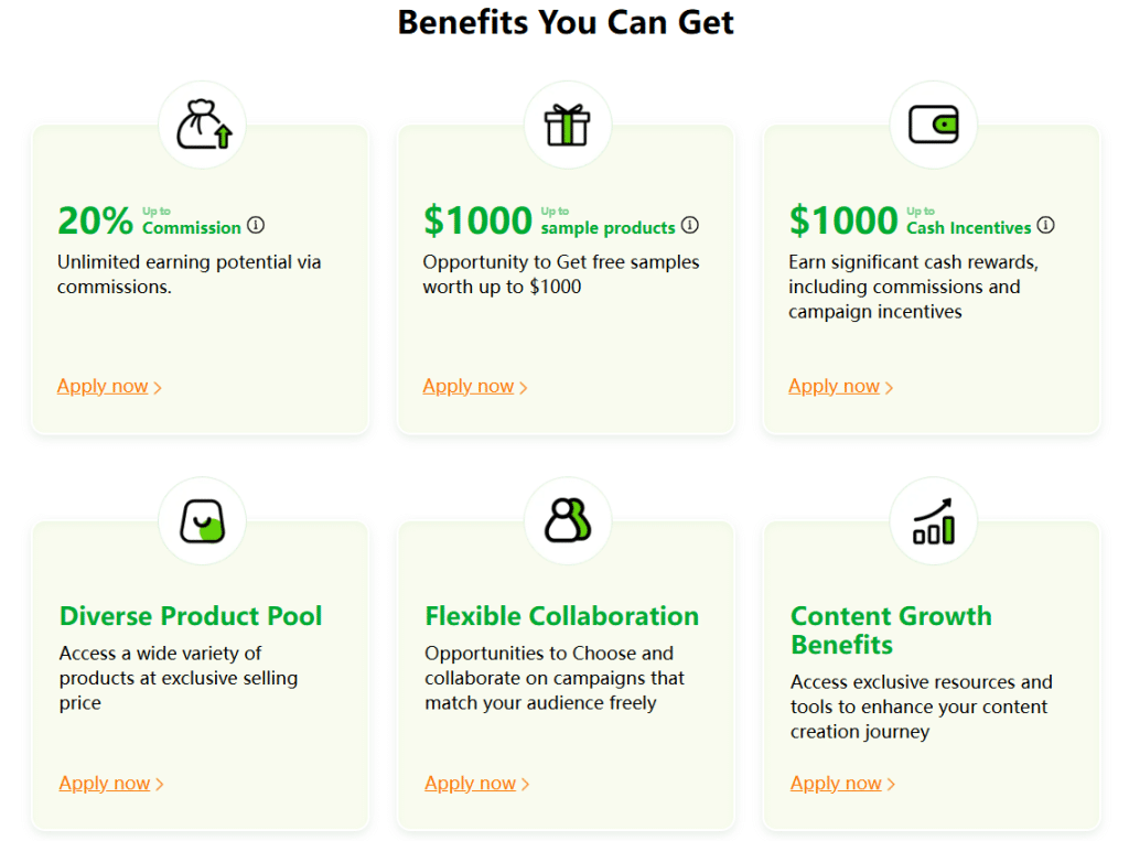 Image 1 of Explore the benefits of Temu's influencer program