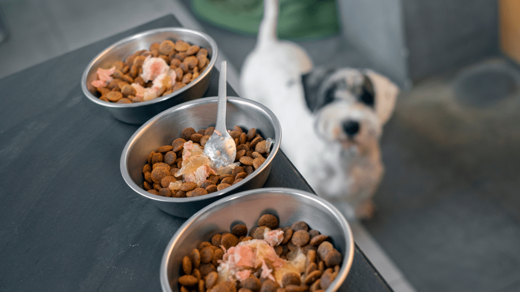 Image 1 of Buy Pet Food and Supplies in Richmond, VA: Visit Our Store Now