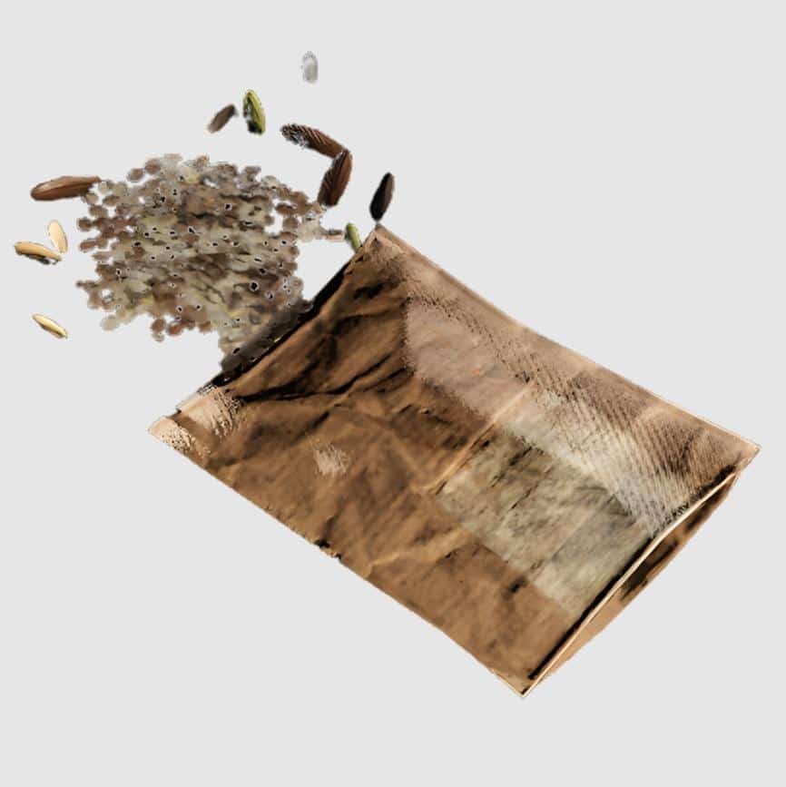 ARC Raiders Assorted Seeds