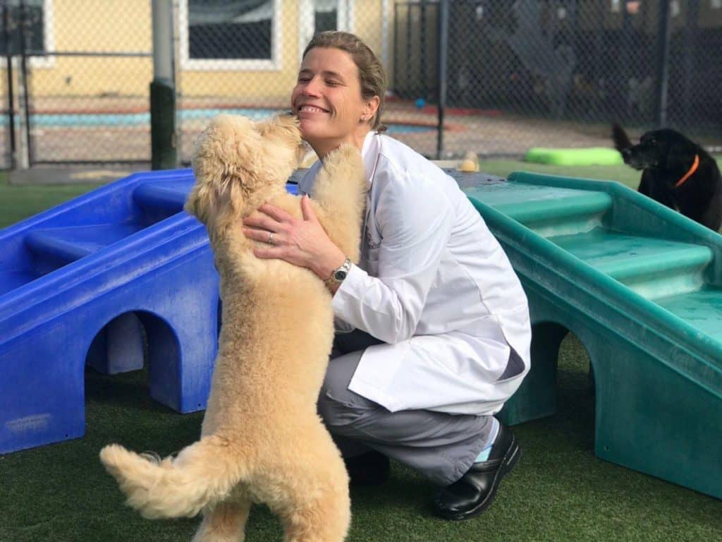 Image 1 of Emerging Trends Shaping Veterinary Telemedicine And Digital Pet Care Today