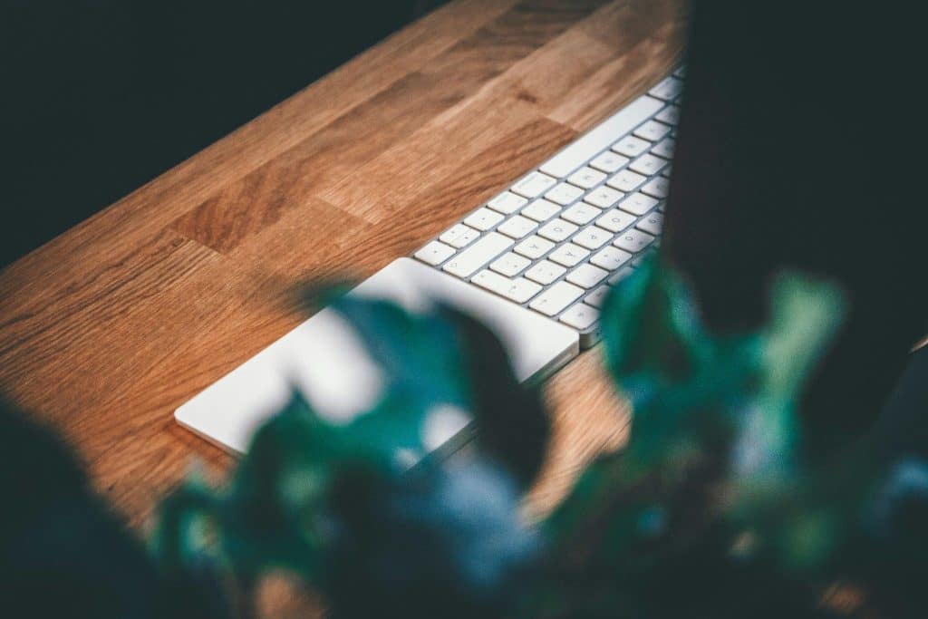 Image 1 of Meta Title: Hiring in South America: A Modern Strategy for U.S. CompaniesMeta Description: Explore why U.S. businesses are hiring in South America to build stable, high-performing remote teamsSlug: US-Teams-Into-South-America______________________________________________________________Beyond Borders: How U.S. Teams Are Expanding Into South America