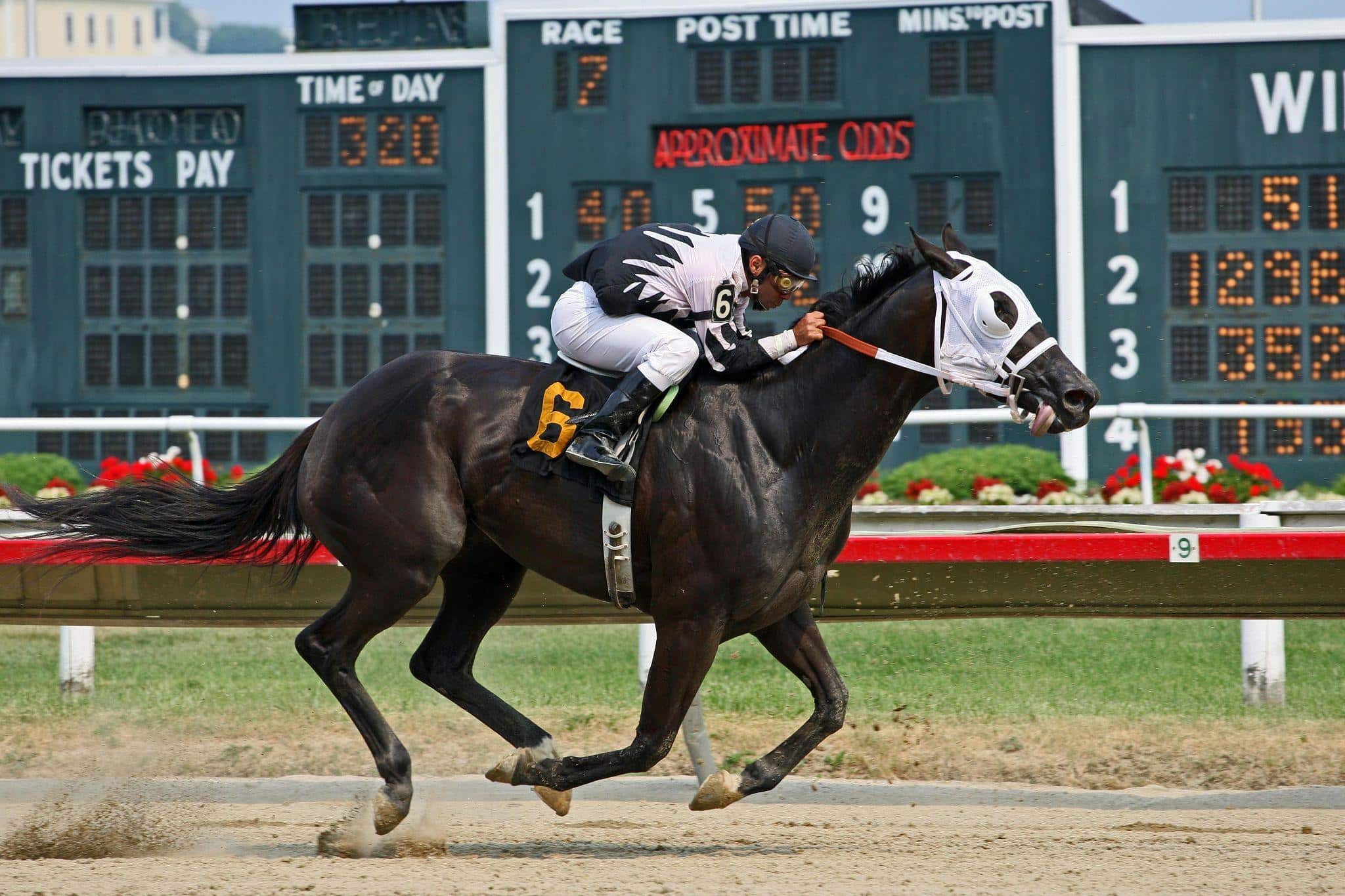 Image 1 of From Fashion to Fanfare: The Kentucky Derby's Cultural Significance