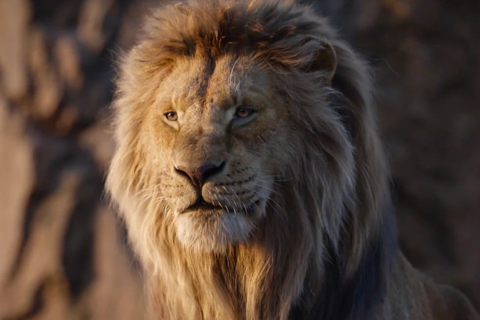 Mufasa The Lion King