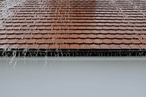 Image 1 of Smart Ways to Prevent Drainage Issues Around Your Home