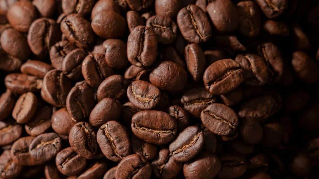 The Robusta Revolution: Strength, Resilience, and the New Era of Specialty Coffee