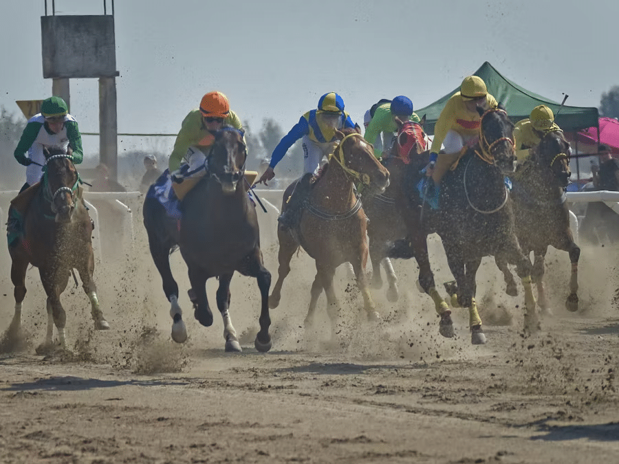 Image 1 of How Technology Is Enhancing the Belmont Stakes Betting Experience
