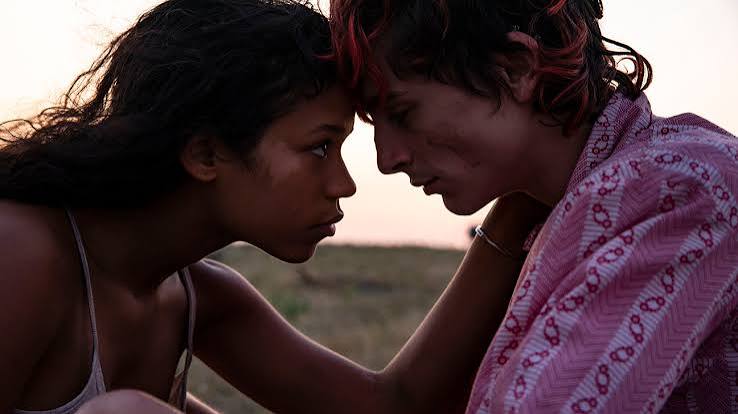 Bones And All: Chalamet's Gruesome Love Story
