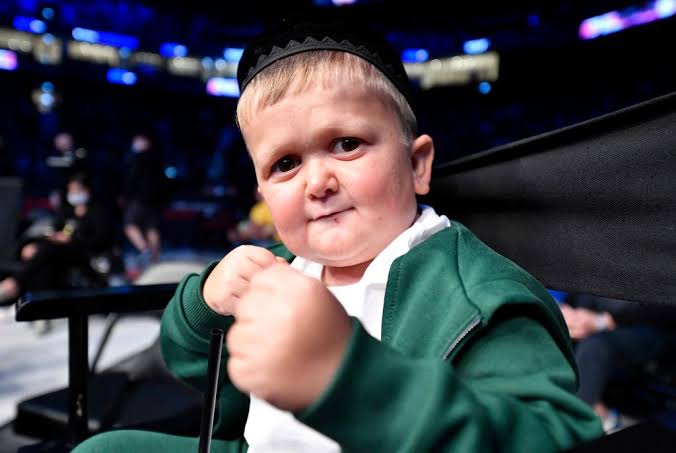 Hasbulla: From Dagestan to Fame And Net Worth Revealed Hasbulla: From Dagestan to Fame And Net Worth Revealed