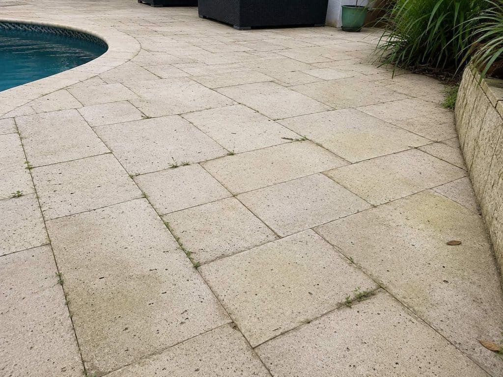 The Weeds in Your Pavers Are a Warning Sign Image 1 of Title: The Weeds in Your Pavers Are a Warning Sign